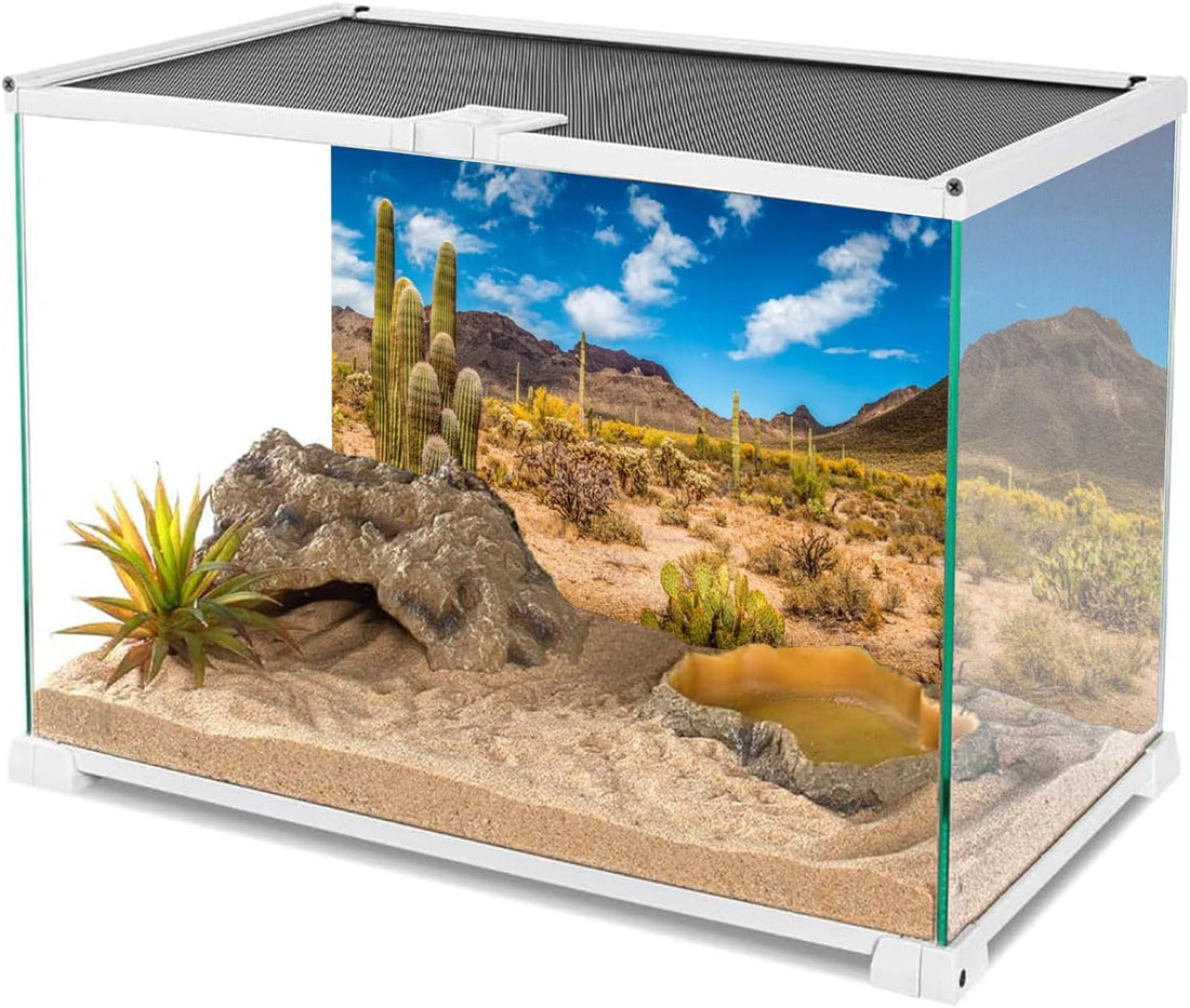 24x12 in Reptile Habitat Background Blue Sky Cactus Desert Tank