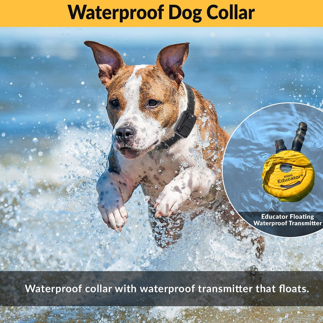 E-Collar Mini Educator ET-300 Remote Dog Training Collar