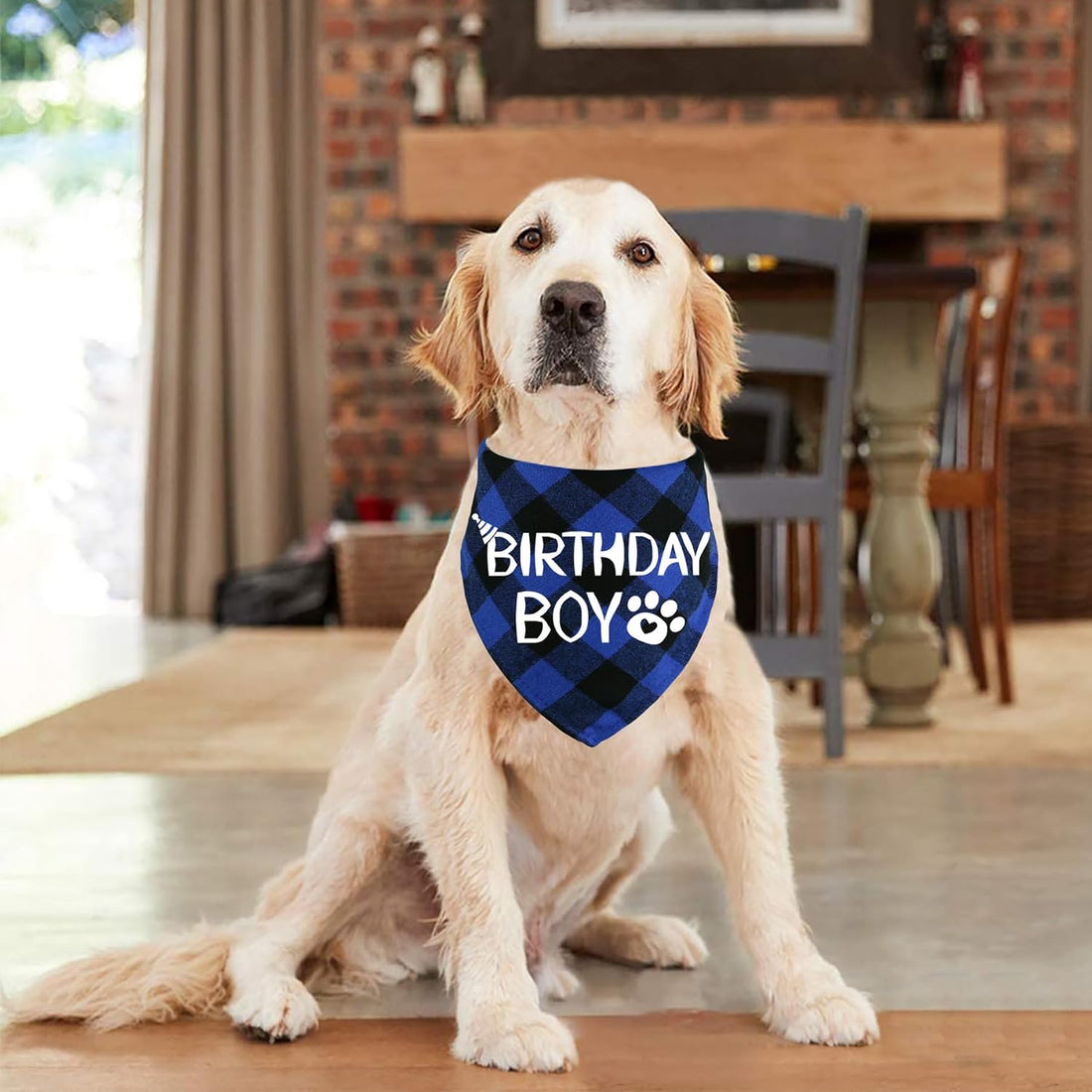 STMK Dog Birthday Bandana, Multi Sizes Dog Birthday Boy Bandana