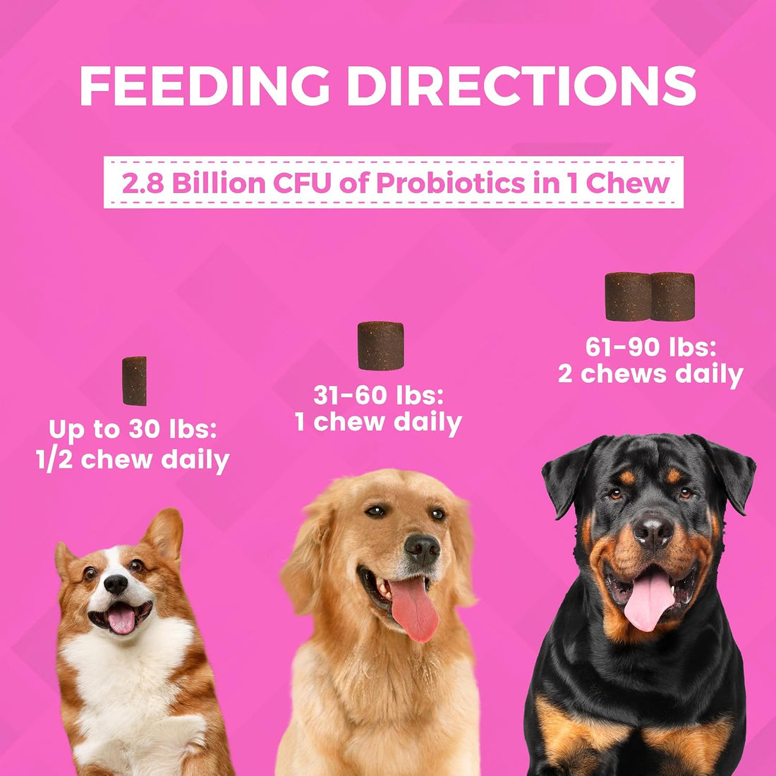 Progility Pre & Probiotics Supplement for Dogs, Digestive Support