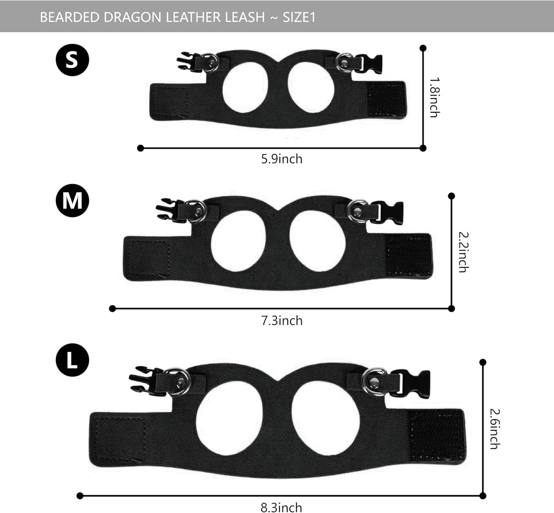 Bearded Dragon Leash and Harness Set, Beardie Carrier