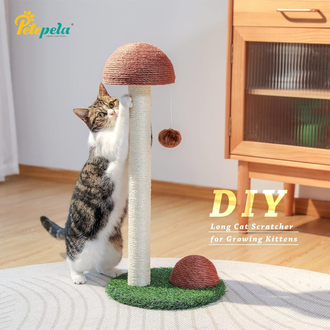 PETEPELA Cat Scratching Post