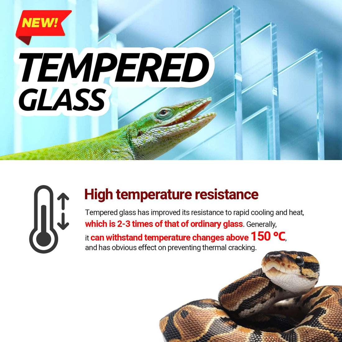 REPTI ZOO Reptile Tempered Glass Extra-Long Terrarium Habitats 48" x