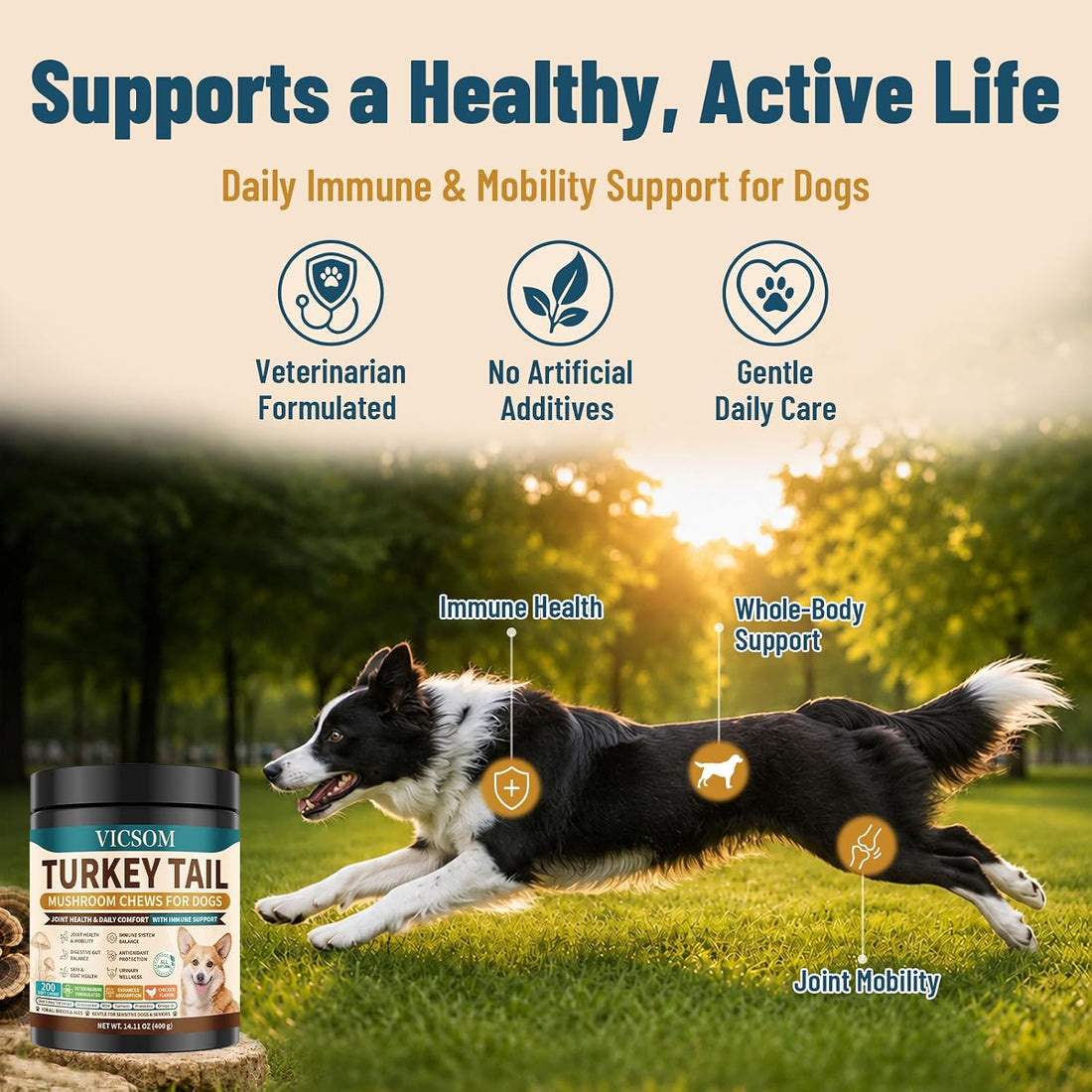 Turkey Tail Mushroom for Dogs, Immune & Joint Supplement for Dog