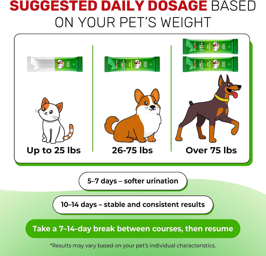 Cat UTI Treatment for Frequent Urination, Bladder & Kidney Irritation