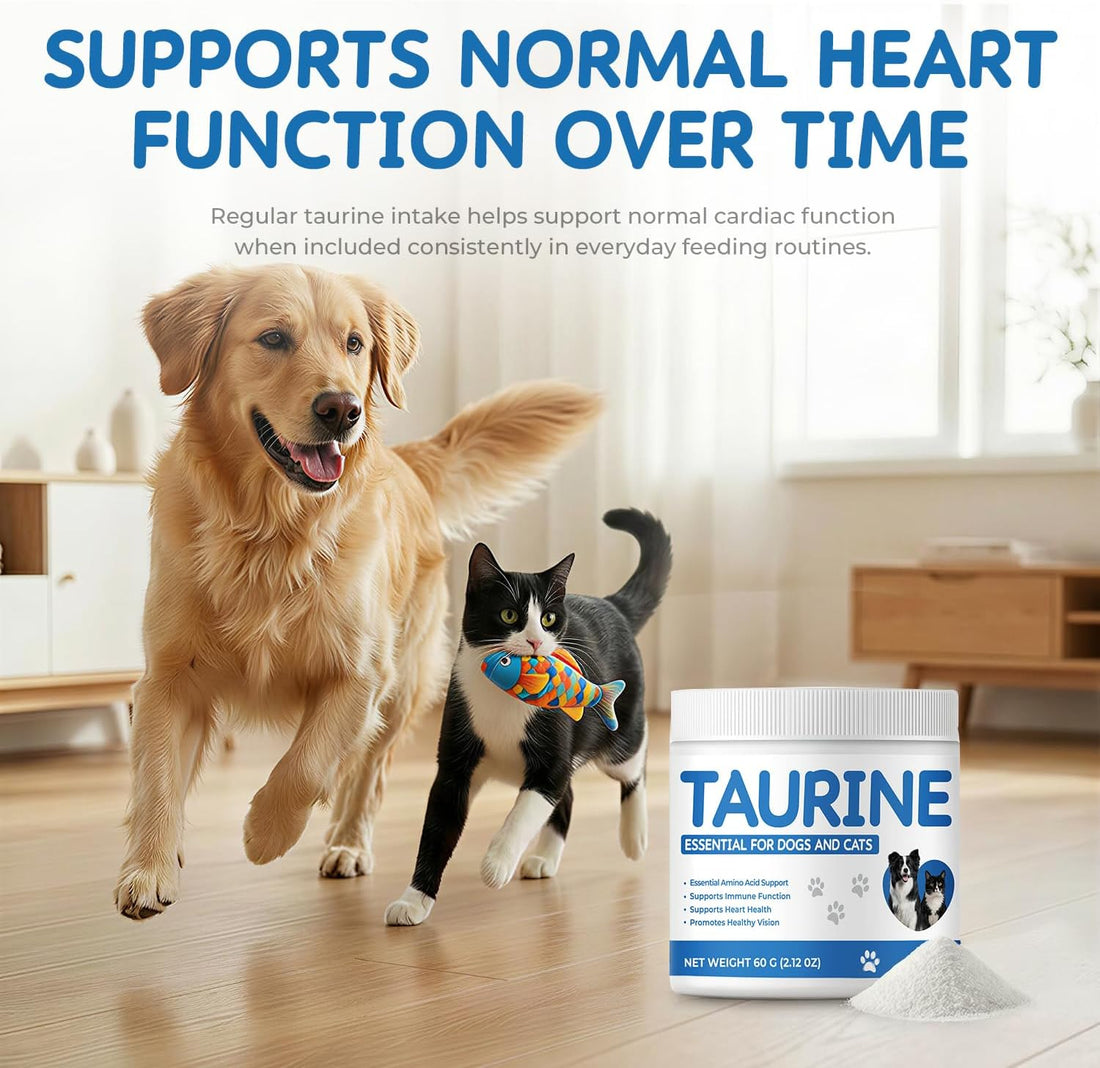 Taurine Powder Supplement for Dogs & Cats
