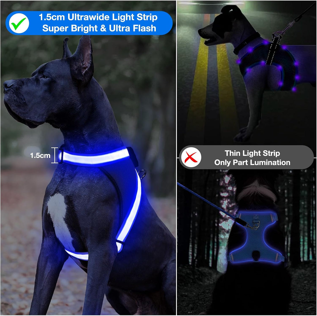 ChalkLit Light Up Dog Harness