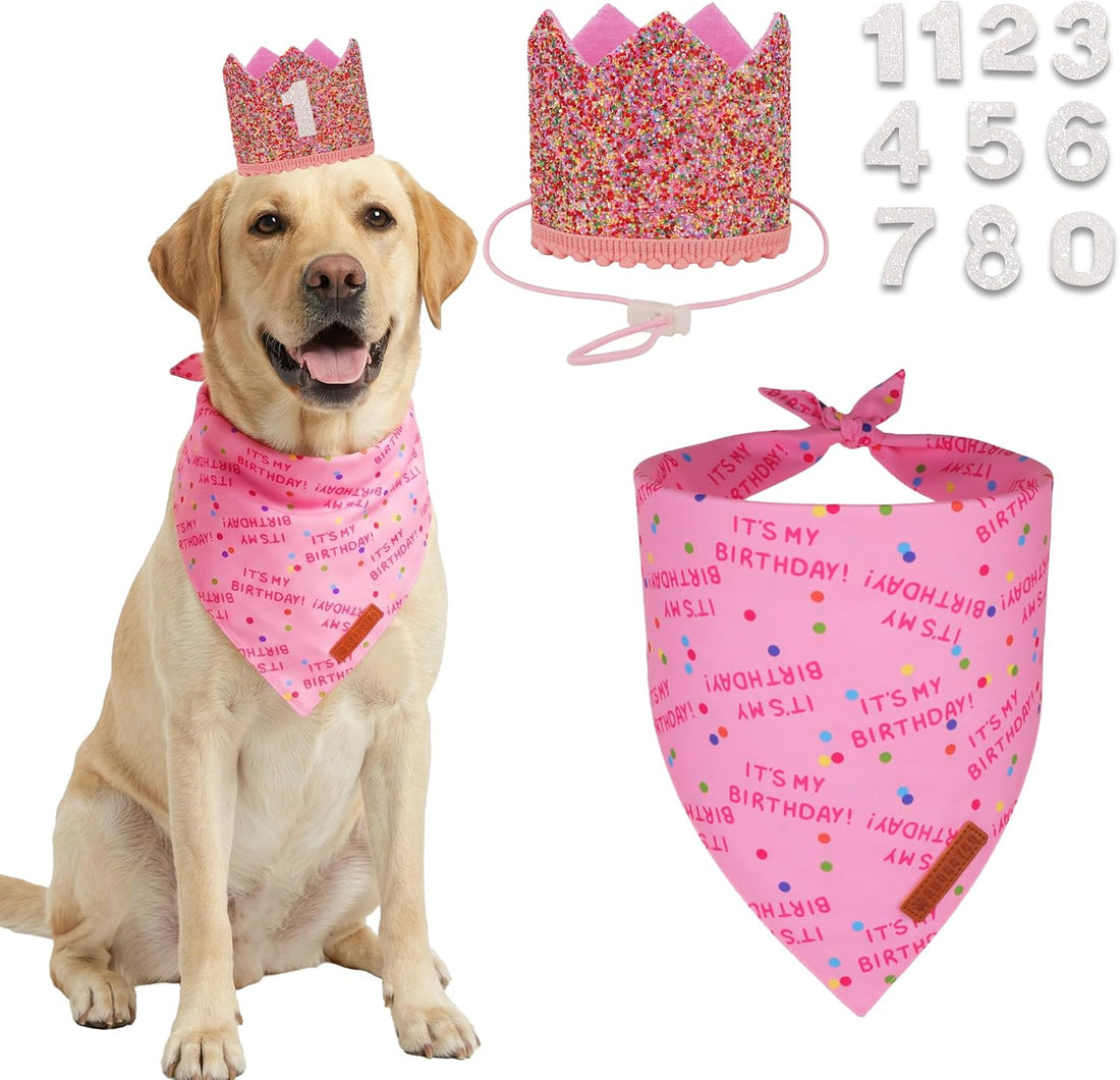 ADOGGYGO Dog Birthday Hat, Pink Birthday Girl Bandana & Tutu Set