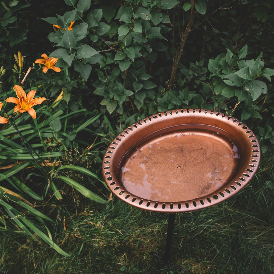 Backyard Expressions Bird Baths for Outdoors