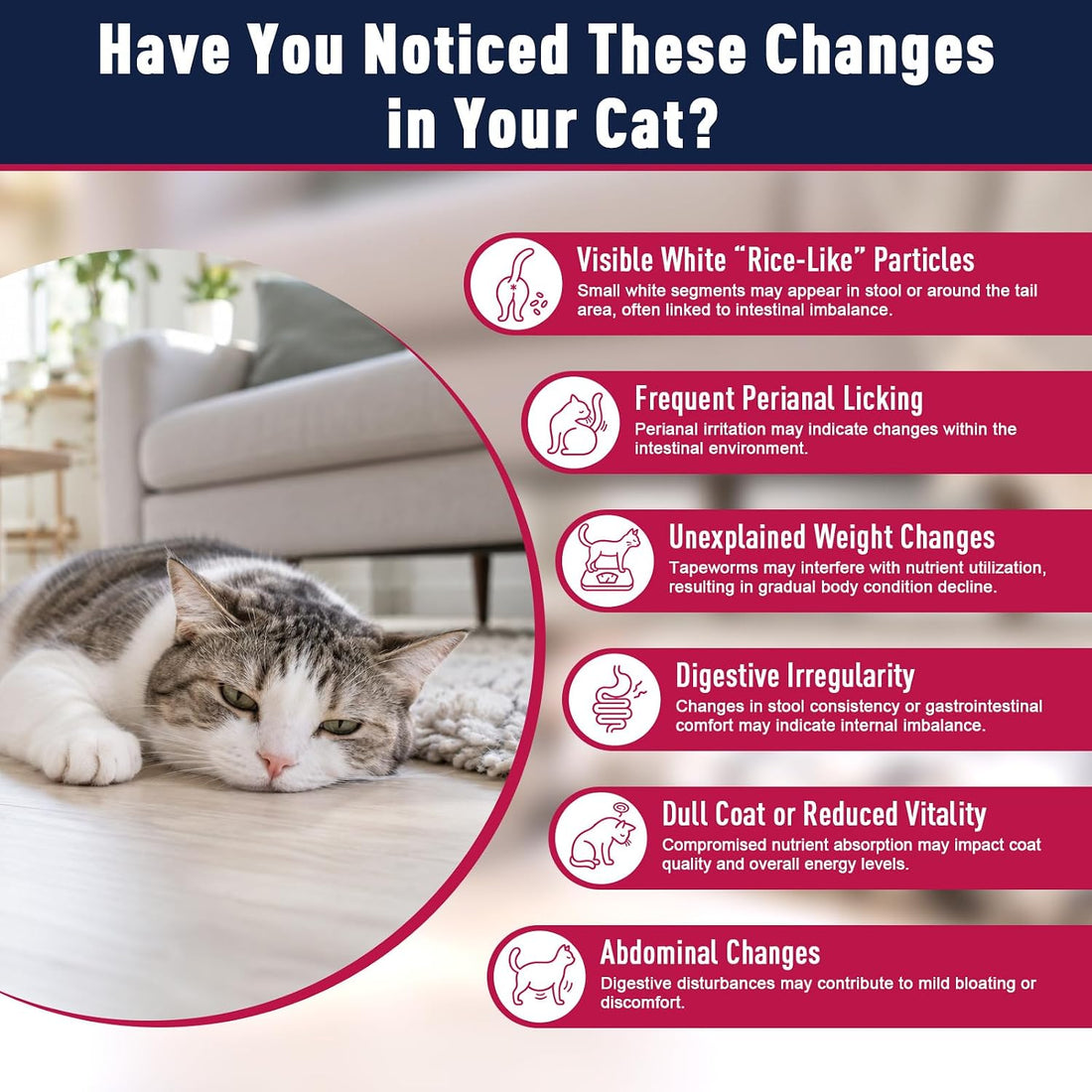 Dewormer for Cats, 50 Tablets, for Kittens 6 Weeks and Older