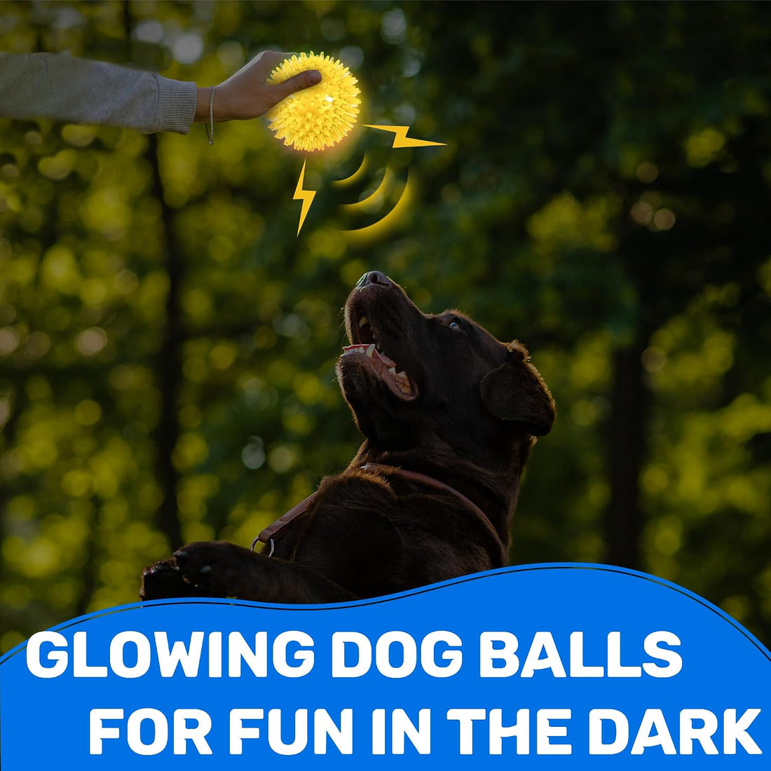 Ousiya 6 Pack 2.5" Light Up Squeaky Dog Balls