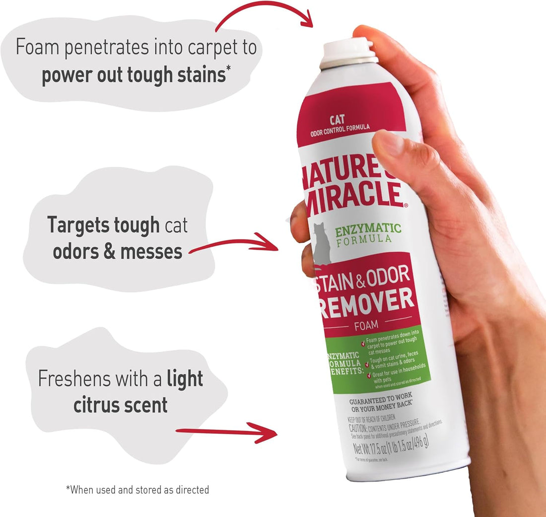 Nature's Miracle Cat Stain & Odor Remover Foam, Tough On Cat Urine
