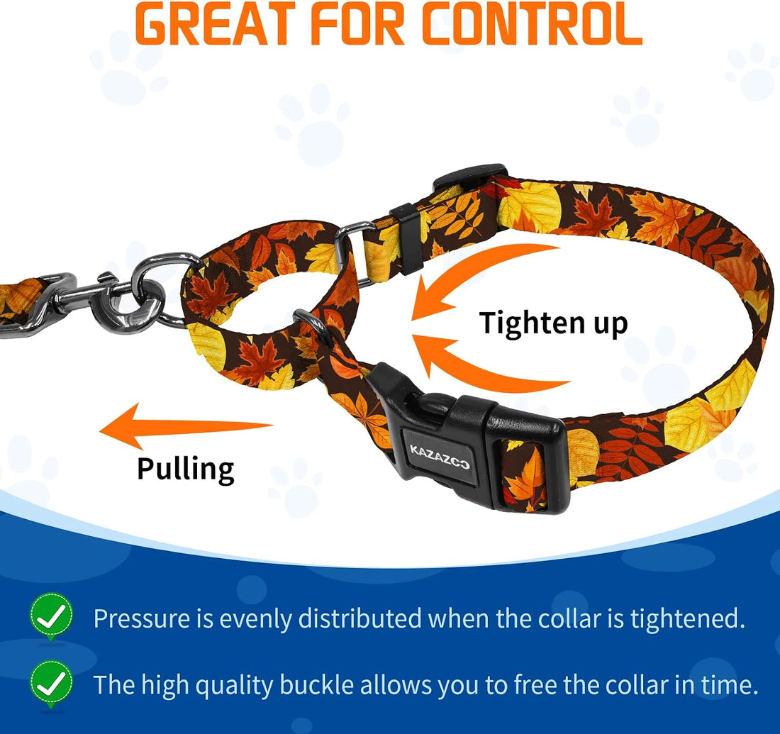 Kazazoo Martingale Collar for Dogs with Quick Release Buckle