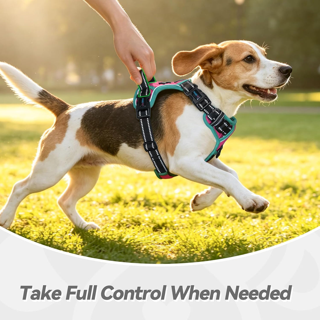 PHOEPET 2019 Upgraded No Pull Dog Harness, Reflective Adjustable Vest