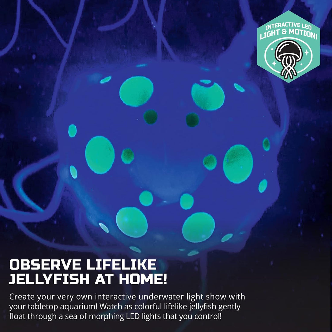 Discovery™ Jellyfish Aquarium Lamp