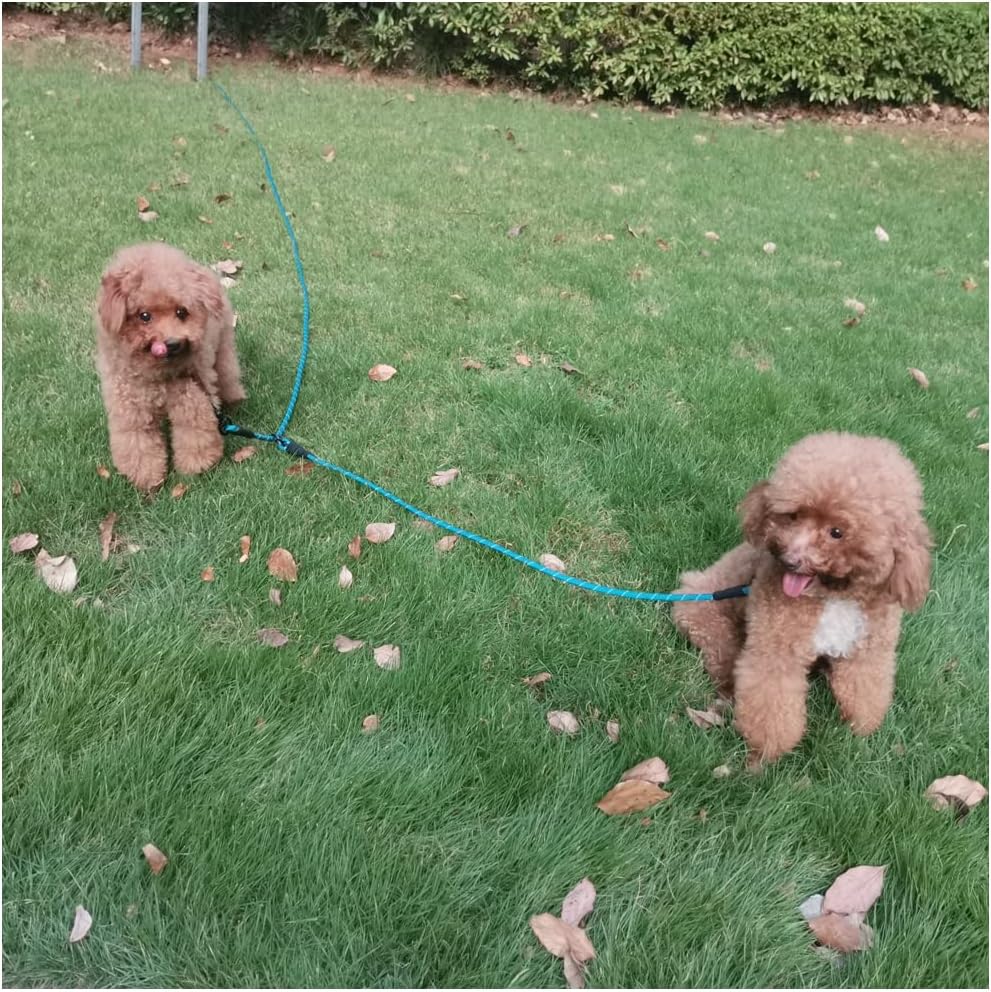 BTINESFUL 12FT 20FT 30FT 50FT Reflective Dog Tie Out for 2 Dogs, Blue