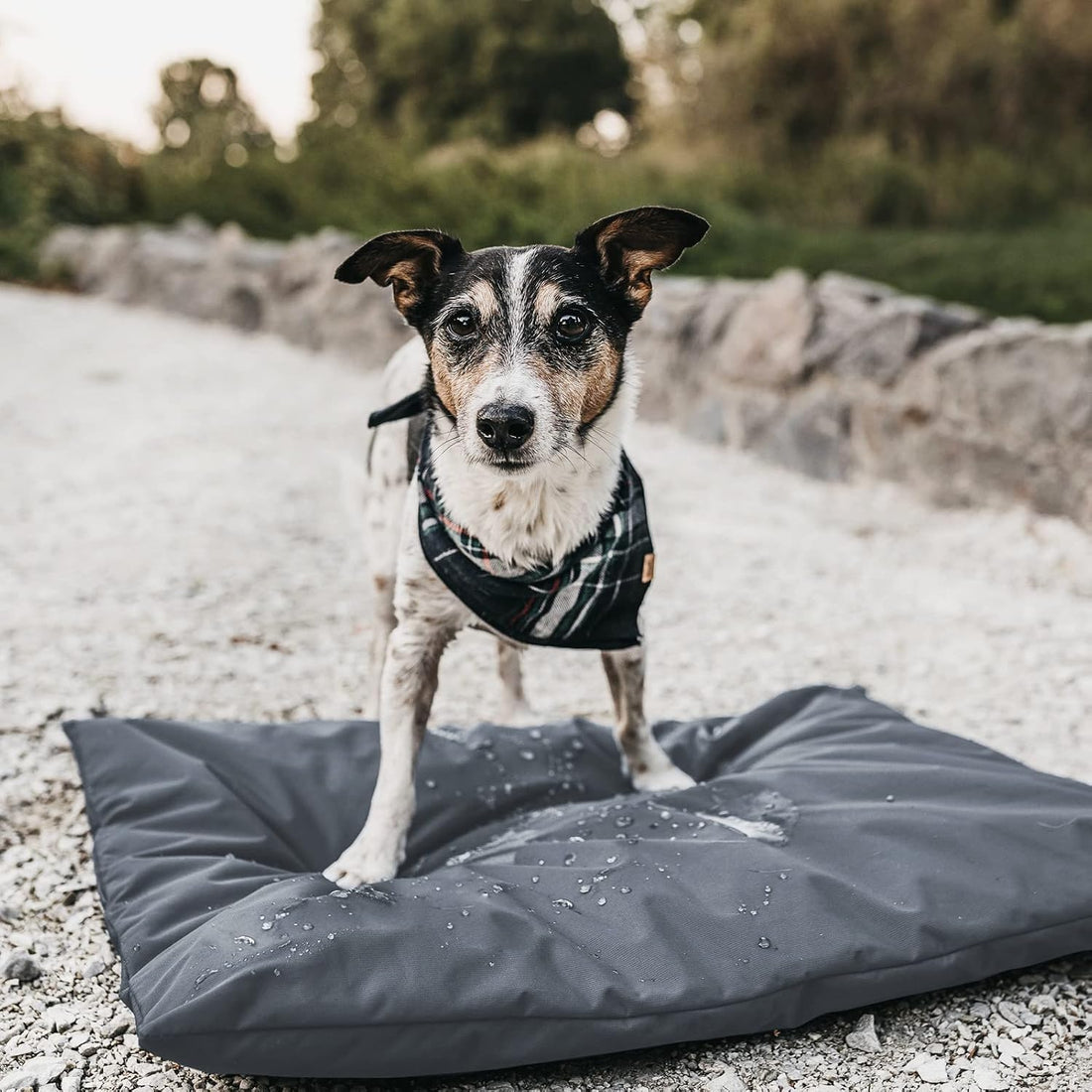 Waterproof Dog Bed Cover, 44" L x 32" W x 4" H, 600D Oxford Fabric