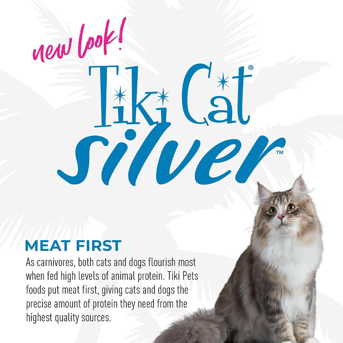 Tiki Cat Silver Mousse Wet Cat Food for Seniors, Chicken & Pumpkin
