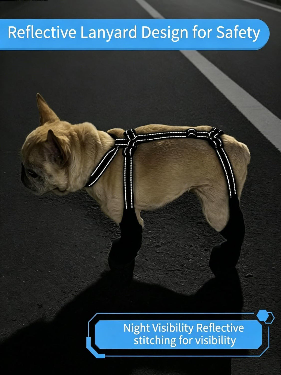 Waterproof Dog Boots for Small &Medium Dogs, Stay-On Paw Protectors