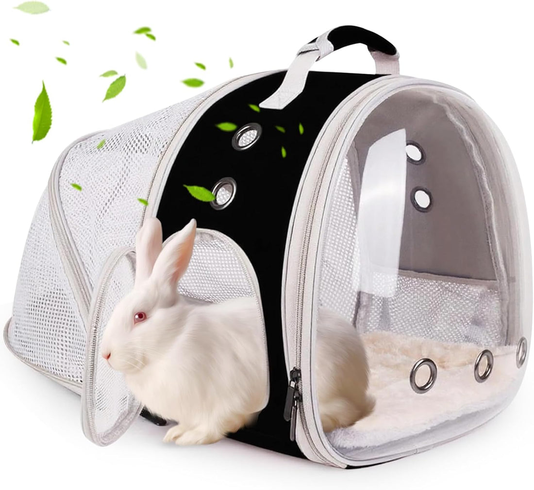 Back Expandable Backpack for Small Animals