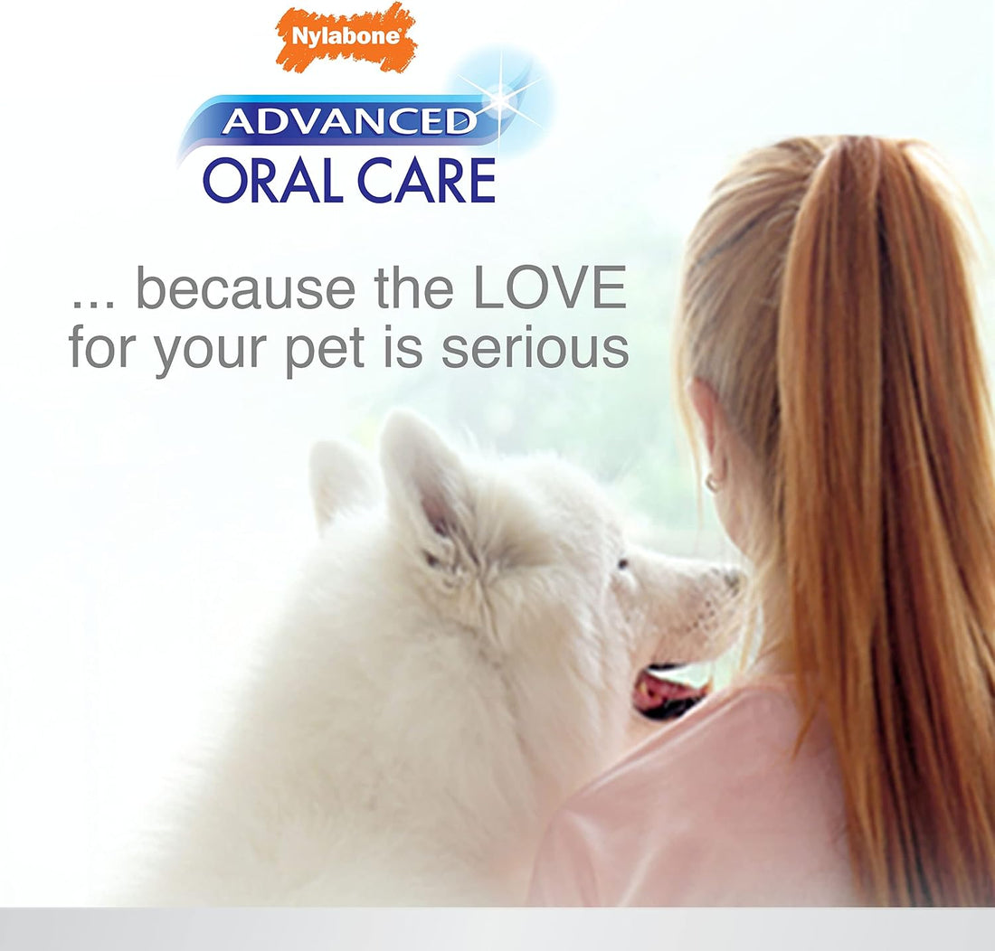 Nylabone Advanced Oral Care Tartar Control Dog Toothpaste Original