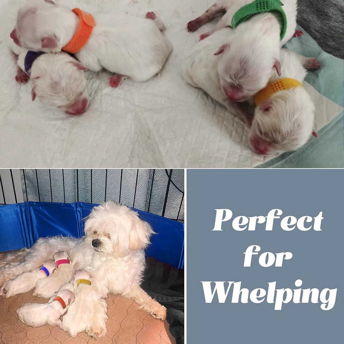 Artilife Whelping Pen for Dogs,Whelping Box for Small Dogs