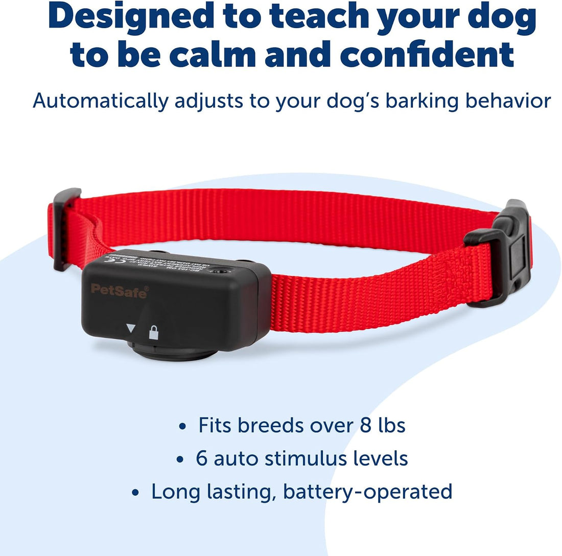 PetSafe Basic Bark Control Collar