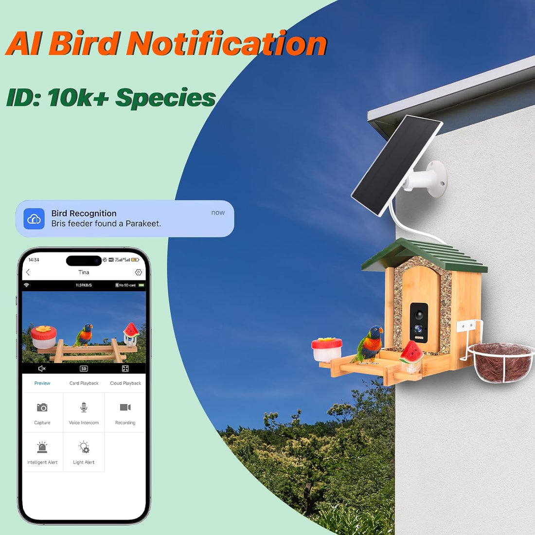Smart Bird Feeder with Camera Solar Powered