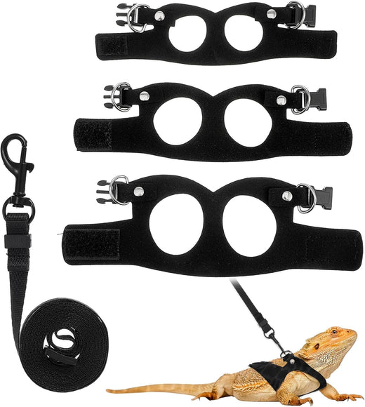 Bearded Dragon Leash and Harness Set