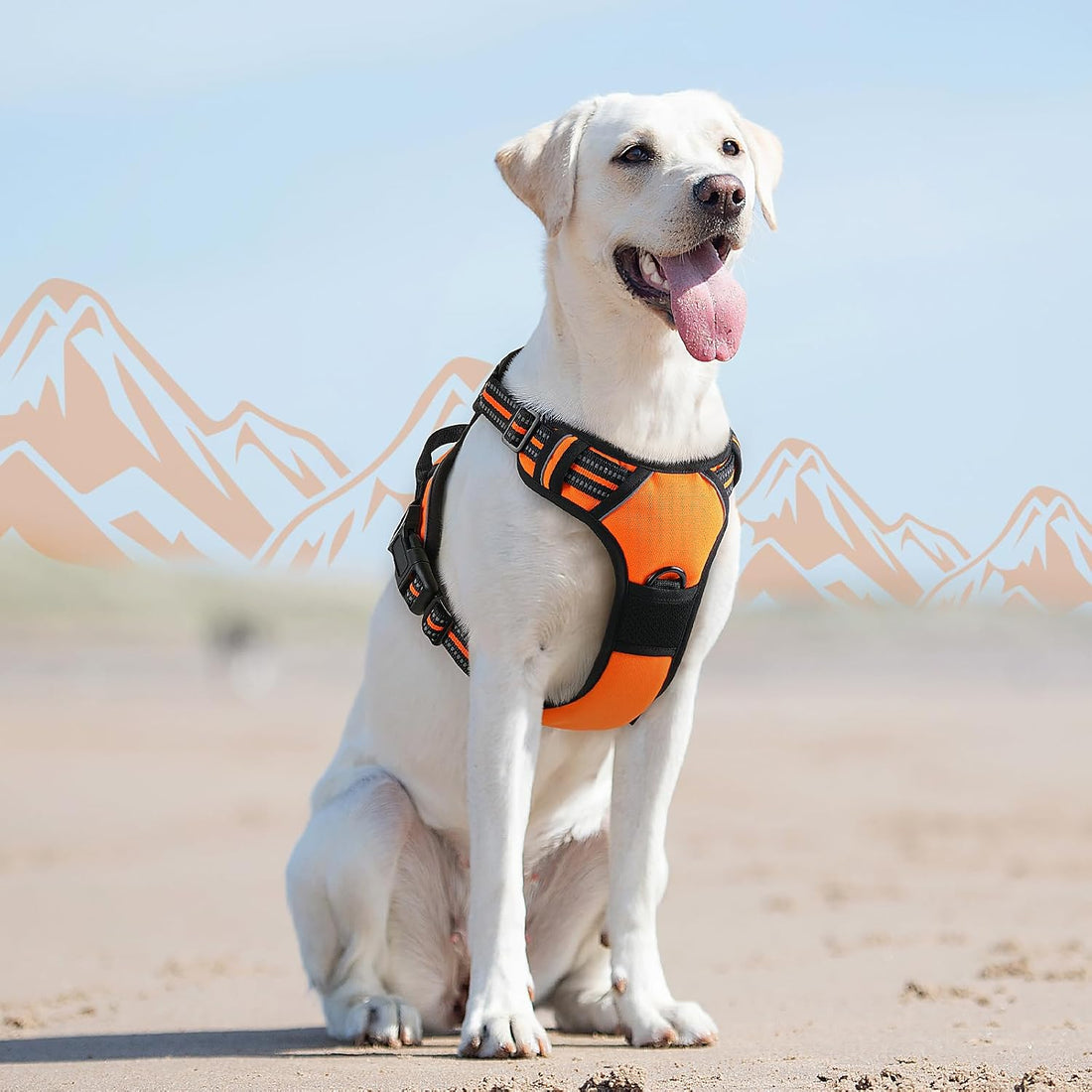 Eagloo Dog Harness for Large Dogs, No Pull Pet Vest with 2 Leash Clips