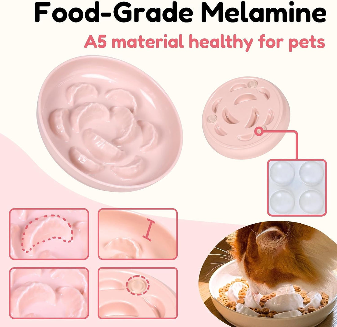 Slow Feeder Bowl for Cats and Small Dogs