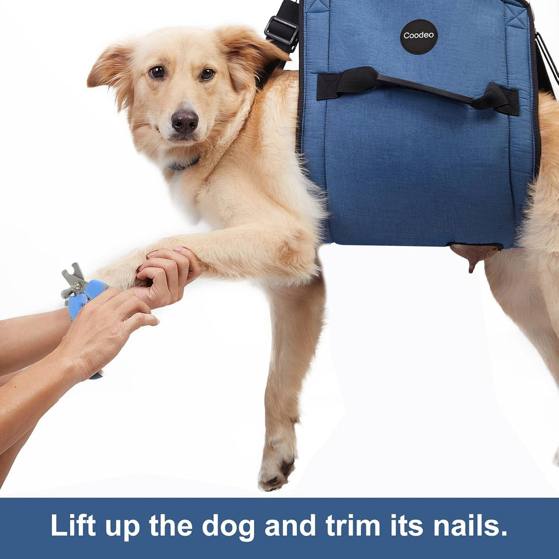 COODEO Dog Carry Sling, Emergency Backpack Pet Legs Support