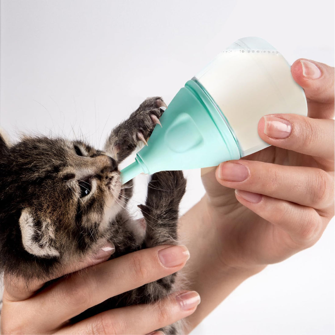 RockTech Ergonomic Kitten Bottle Feeding kit