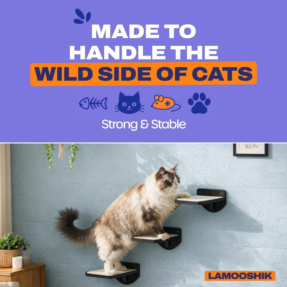 Cat Wall Shelves, Black Floating Cat Steps Set of 3