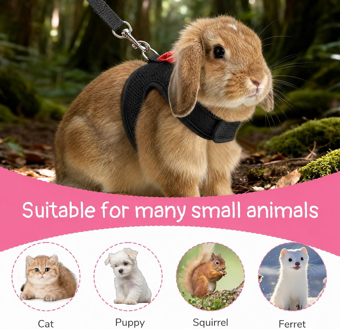 Bunny Harness and Leash Set Cute Bow Rabbit Leash Harness Set Escape