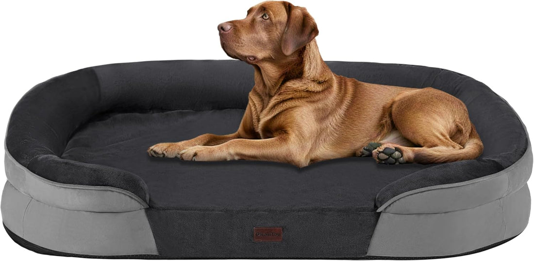 Dwanton Orthopedic Waterproof Medium Dog Bed Sofa, Gel Memory Foam