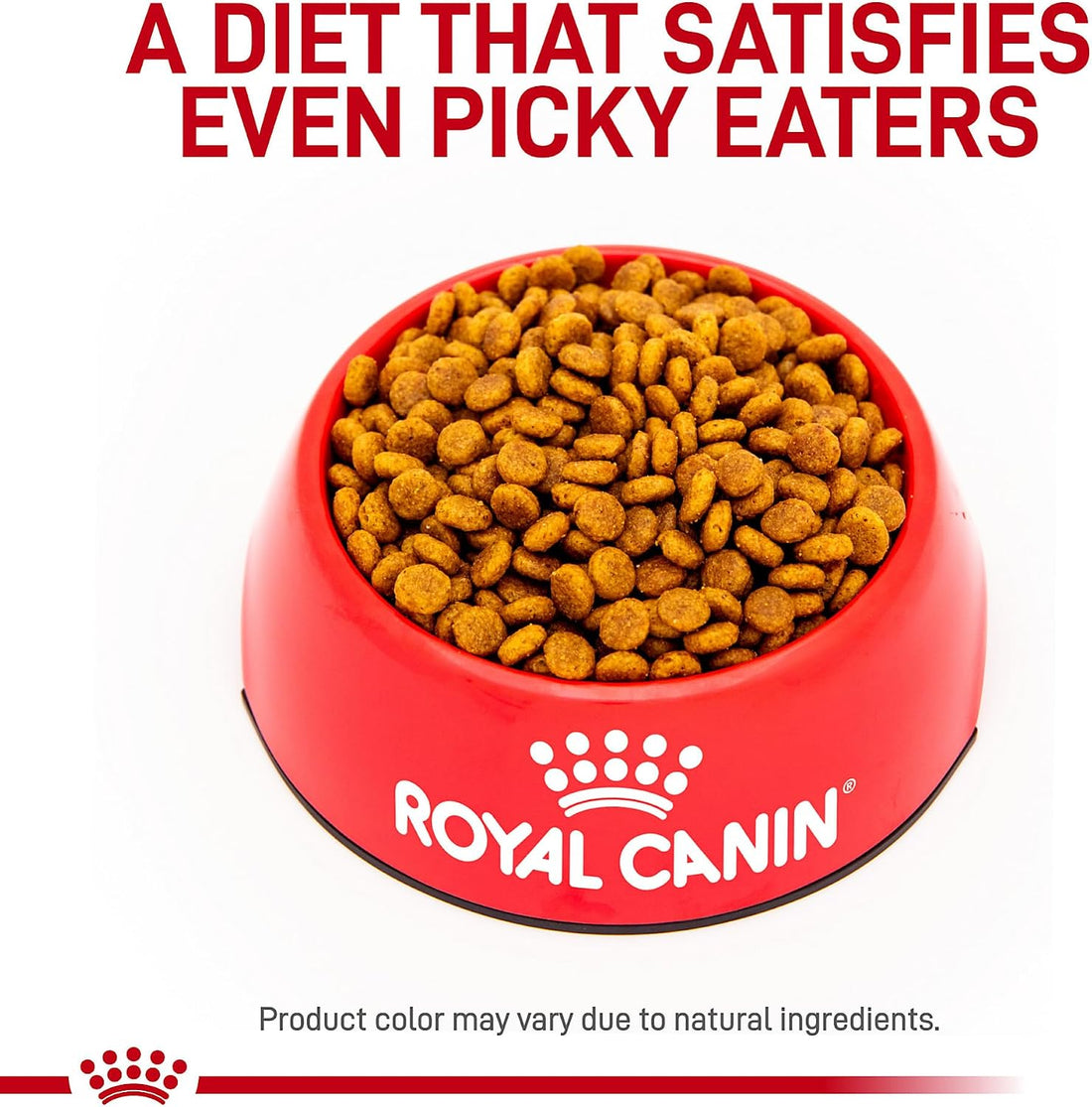 Royal Canin Veterinary Diet Canine Renal Support F Adult Dry Dog Food