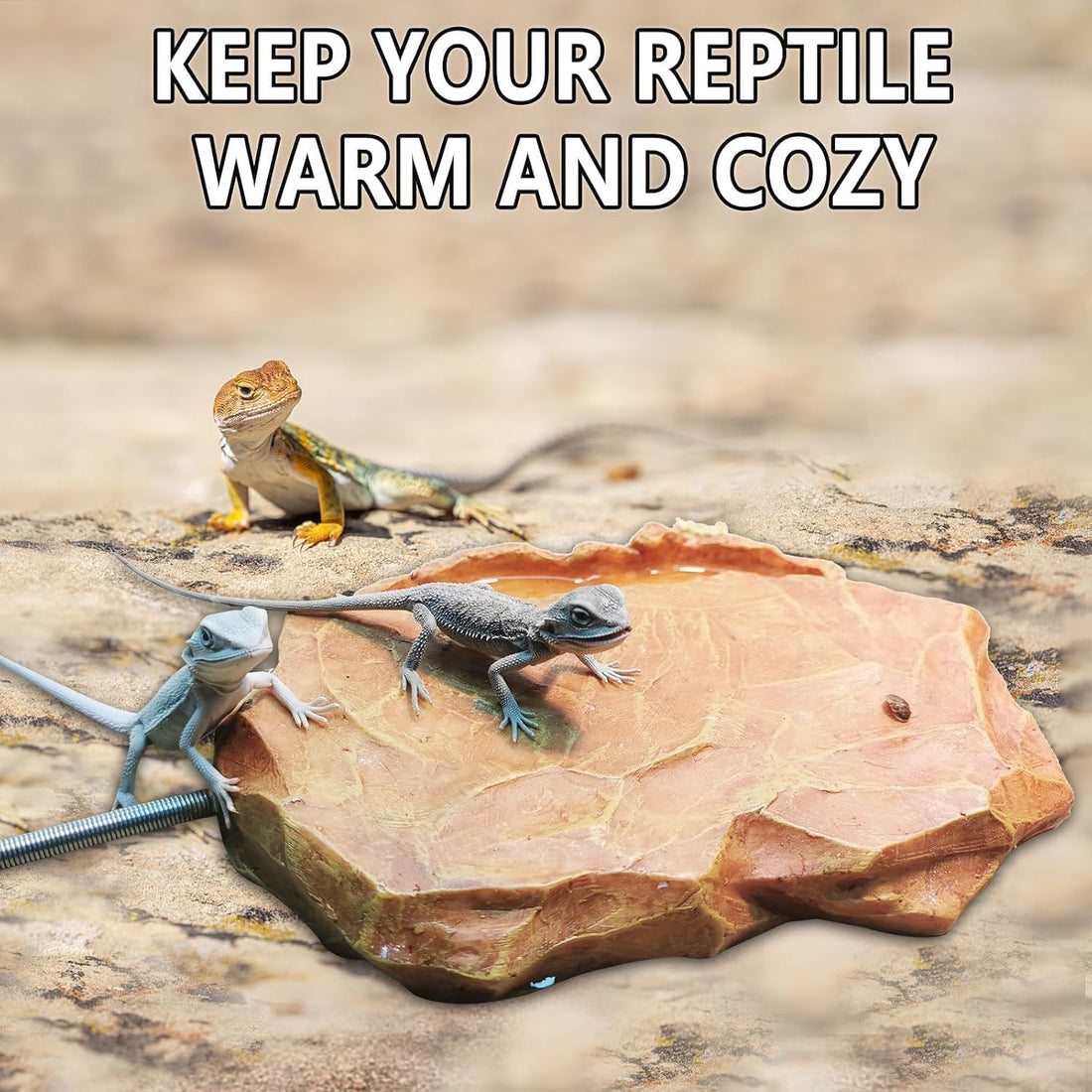 Heat Rocks for Reptiles Heat Rock with Feeding Trough & Temperature