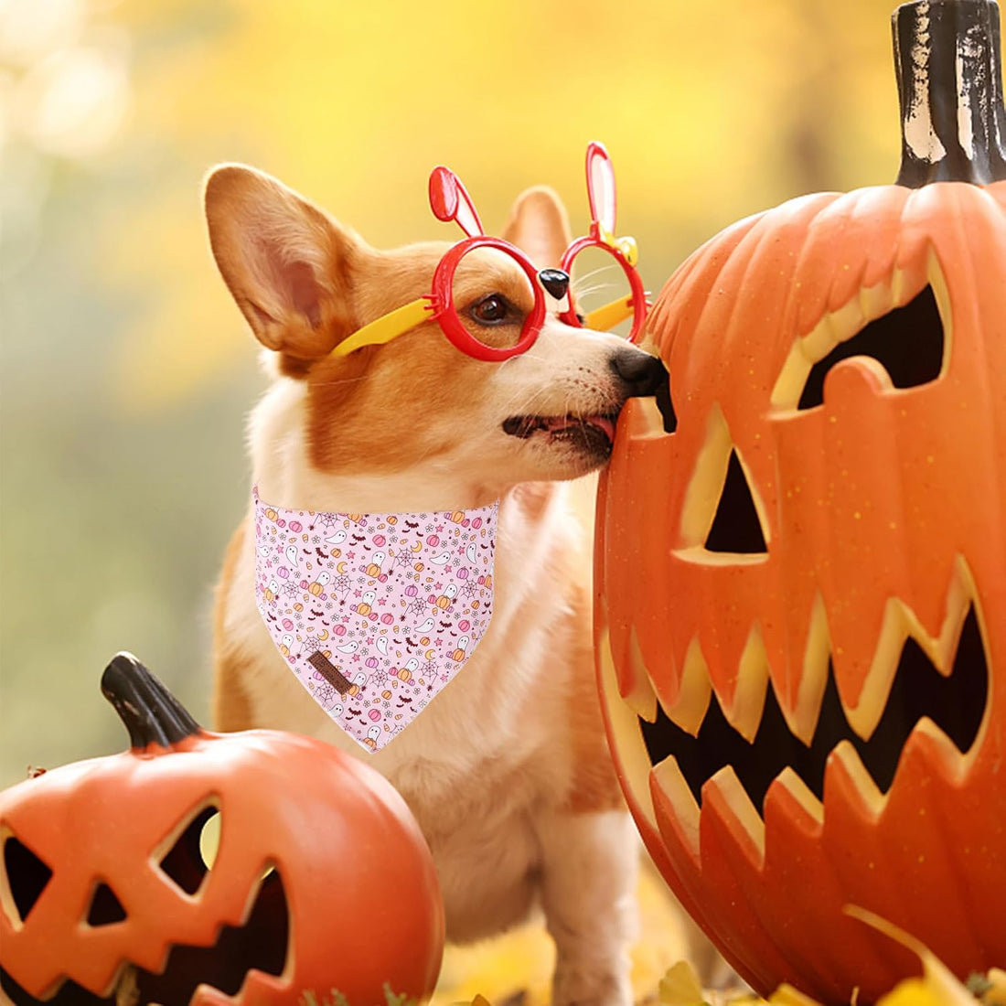 Halloween Pumpkin Dog Bandana