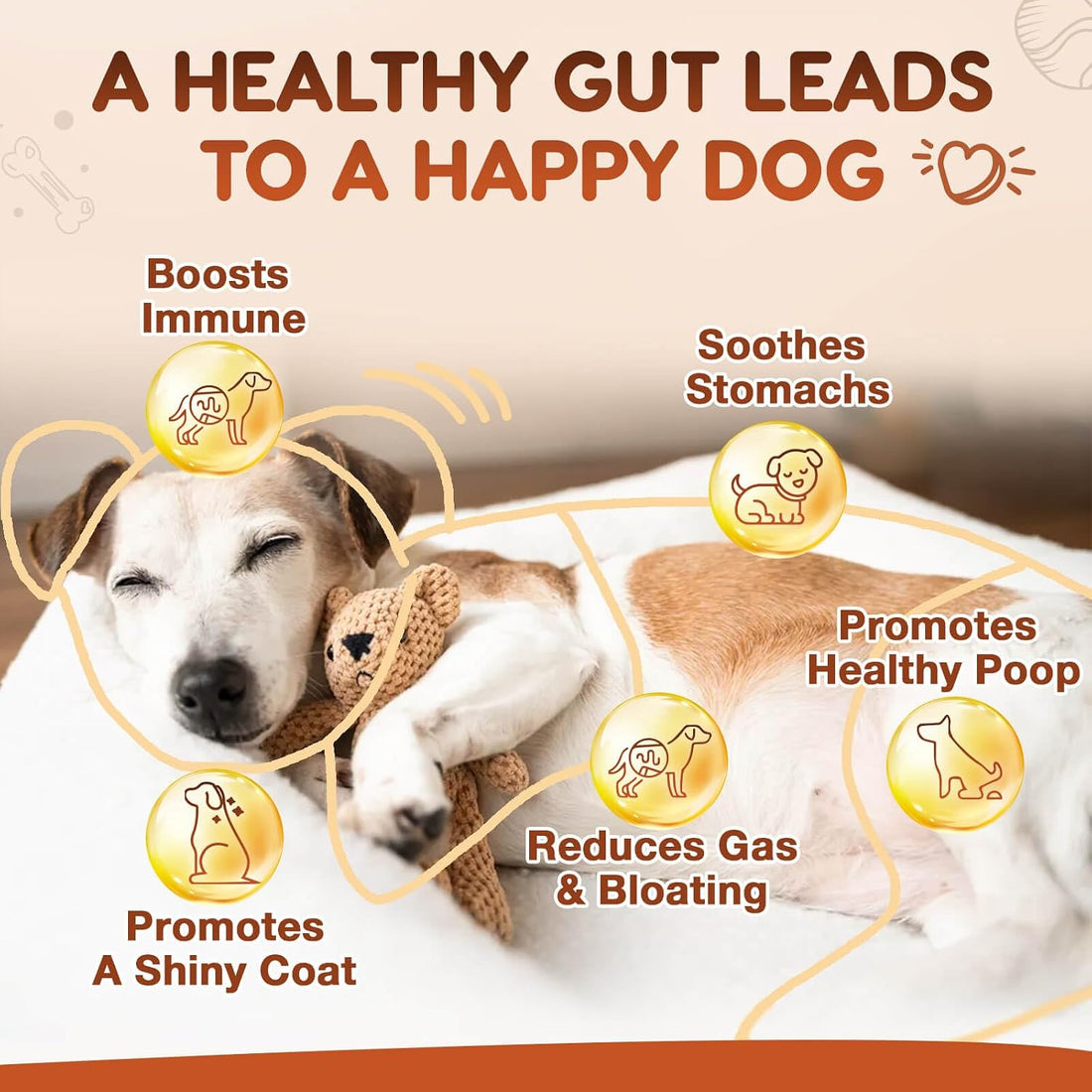 ZEBORA Probiotics for Dogs, Digestive & Itch Relief, 60 Chews
