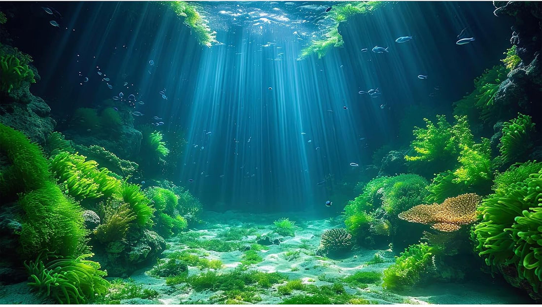Aquarium Background Various Underwater Grass Plants Aquarium Backdrop