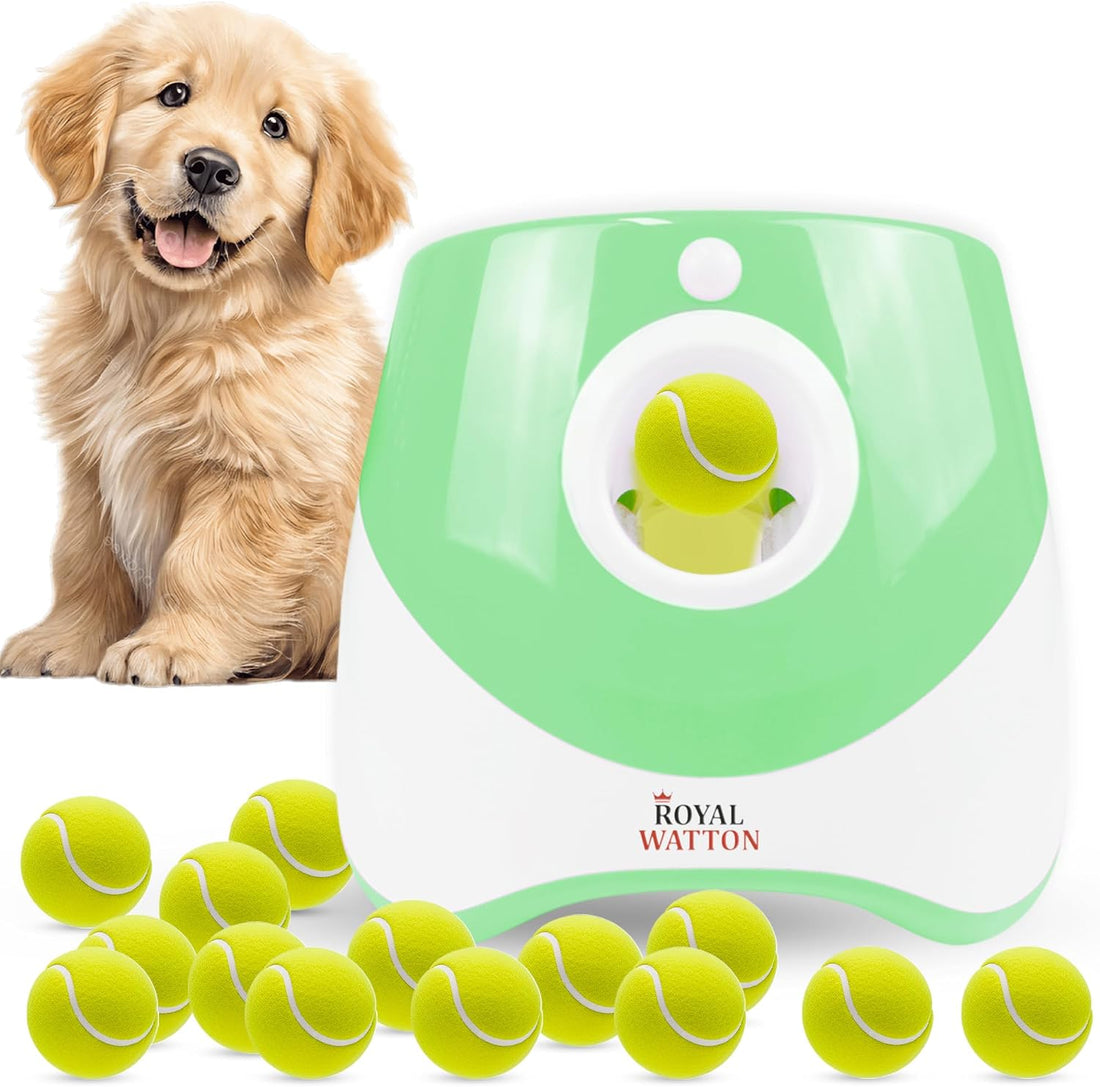 Automatic Dog Ball Launcher for Dogs with 10 Balls