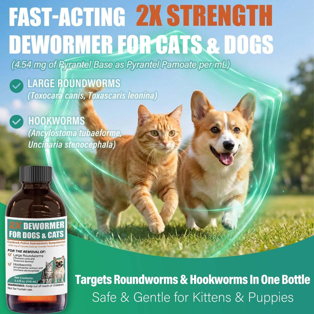 Liquid Dewormer 2X for Dogs & Cats