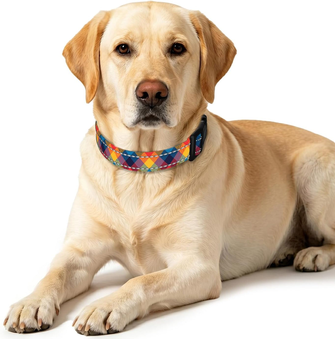 Martingale Dog Collar for Large Dogs