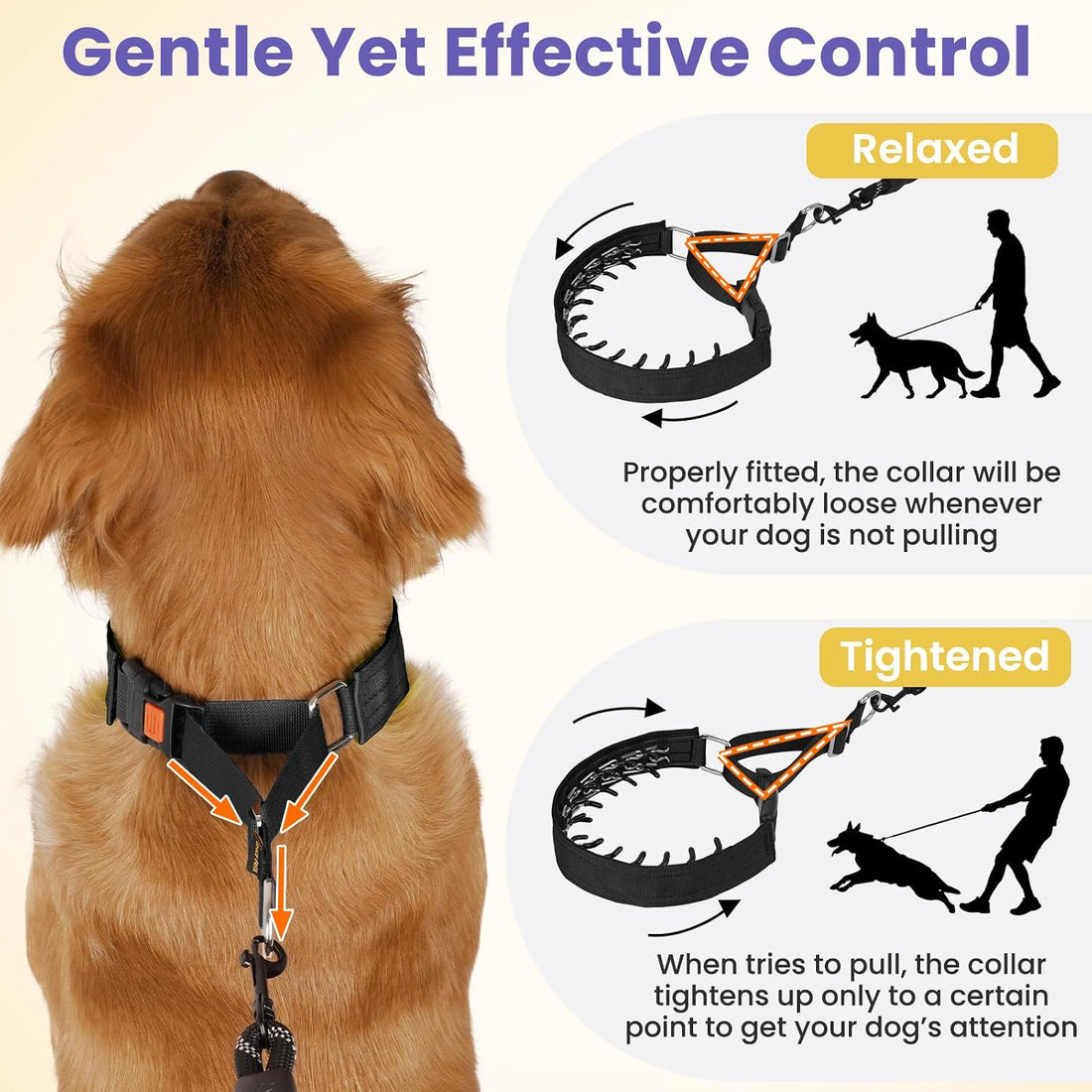Crazy Felix No Pull Dog Collar, Hidden Martingale Training Collar