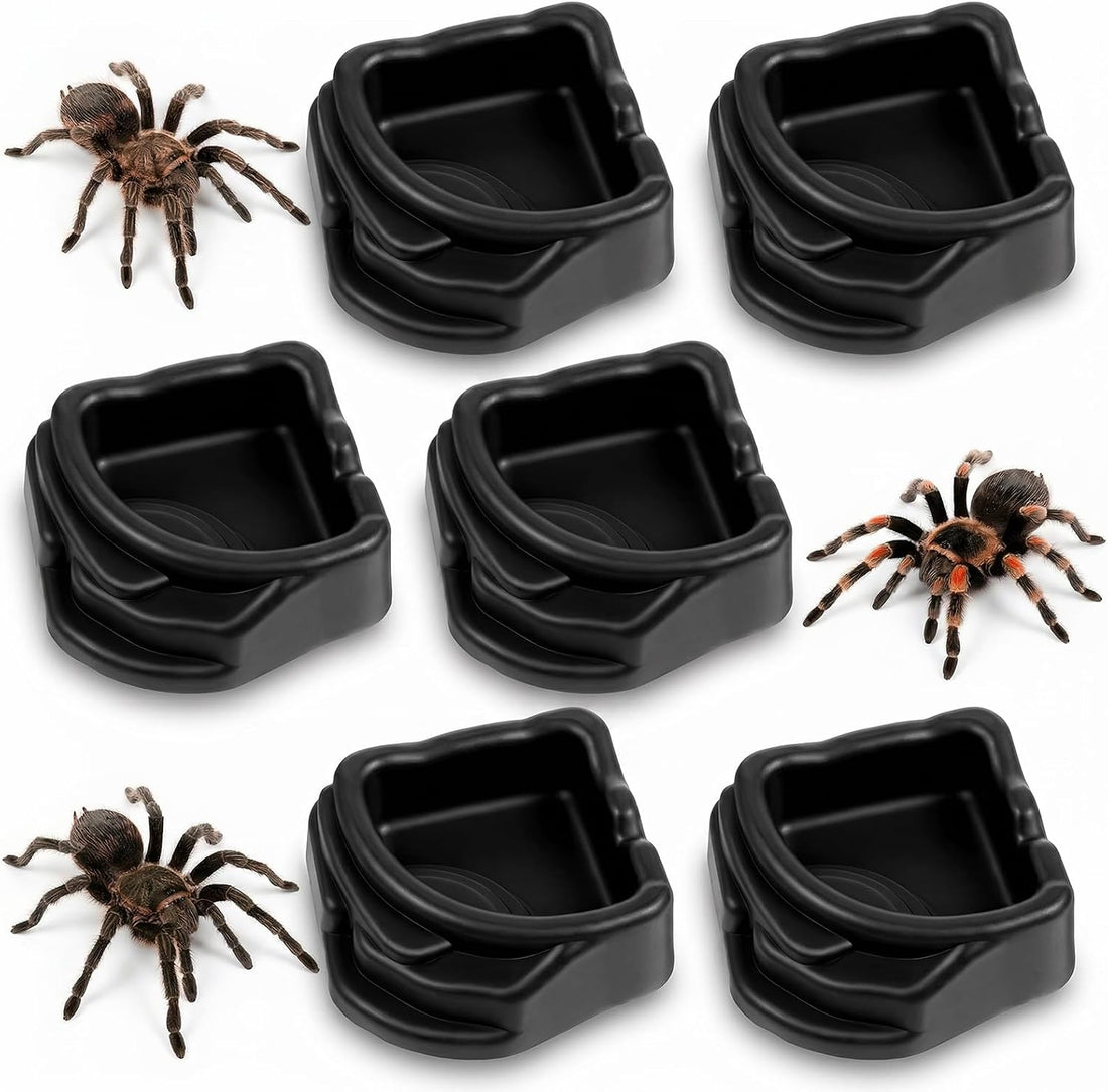 6 Pcs Spider Micro Water Bowls, Tarantula Enclosure Accessories