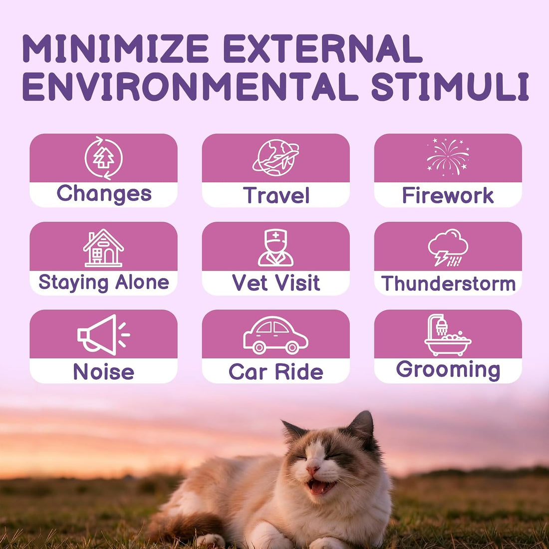 Cat Calming Spray with Pheromone, Cat Anxiety & Stress Relief, 60ML
