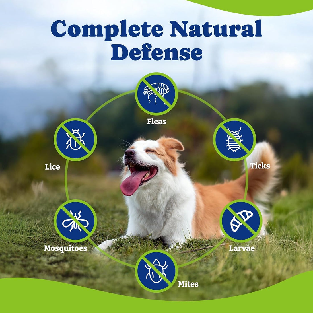 YoYoBay Flea & Tick Prevention for Dogs Chewables