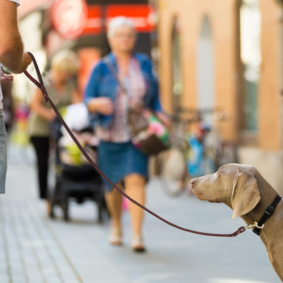 QUMY Leather Dog Leash 6ft, Heavy Duty Dog Training Leash for Large