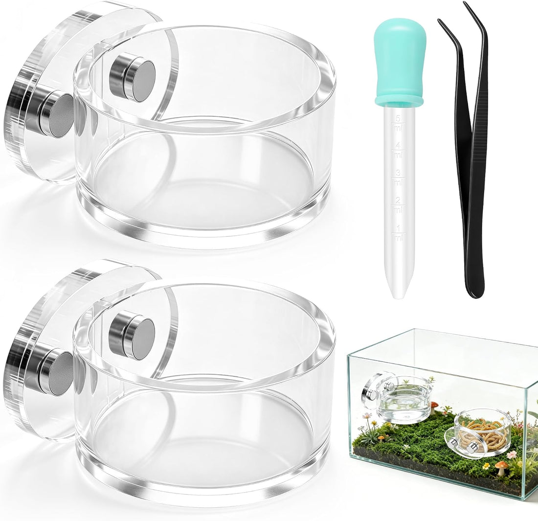 Upgrad Jumping Spider Magnetic Water Feeding Dish for Small Pet